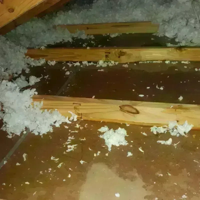 Attic Water Damage in Leachville, AR